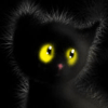 Benutzeravatar
